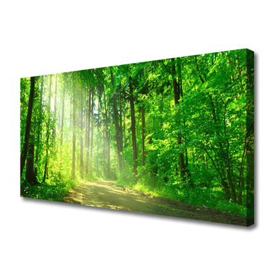 Leinwand-Bilder Wald Natur