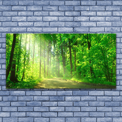 Leinwand-Bilder Wald Natur