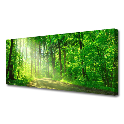 Leinwand-Bilder Wald Natur