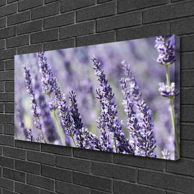 Leinwand-Bilder Blumen Pflanzen