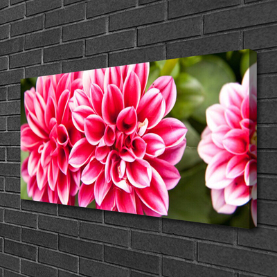 Leinwand-Bilder Blumen Pflanzen