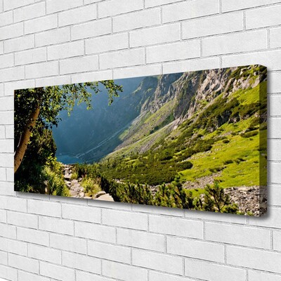 Leinwand-Bilder Gebirge Wald Natur