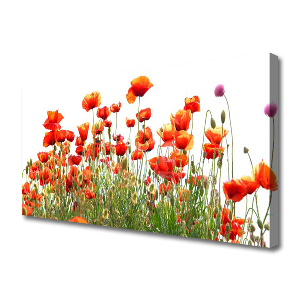 Leinwand-Bilder Mohnblumen Natur