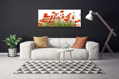 Leinwand-Bilder Mohnblumen Natur