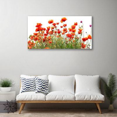 Leinwand-Bilder Mohnblumen Natur