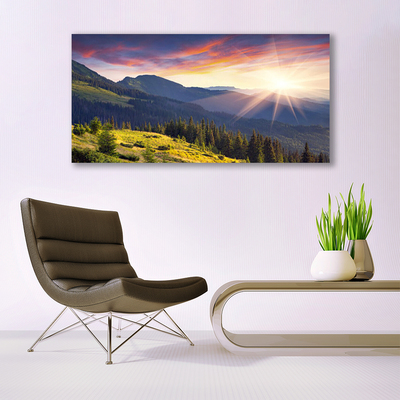 Leinwand-Bilder Gebirge Wald Sonne Landschaft