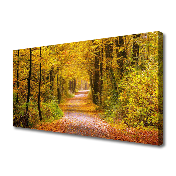 Leinwand-Bilder Wald Natur