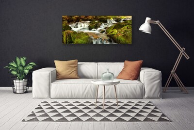 Leinwand-Bilder Wasserfall Felsen Natur