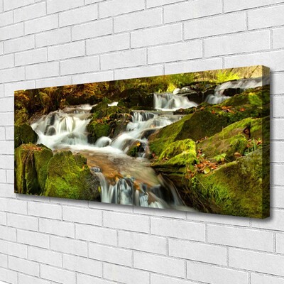 Leinwand-Bilder Wasserfall Felsen Natur