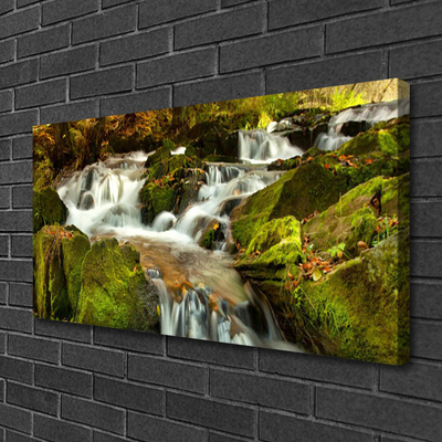 Leinwand-Bilder Wasserfall Felsen Natur