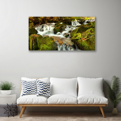 Leinwand-Bilder Wasserfall Felsen Natur