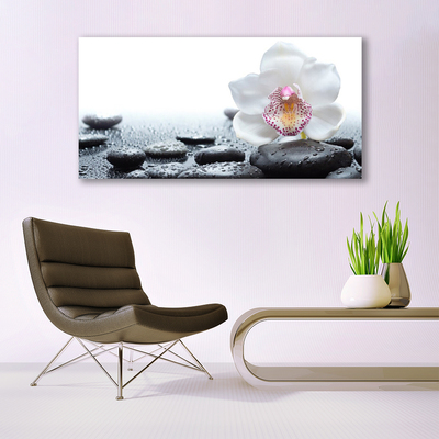 Leinwand-Bilder Blume Steine Kunst