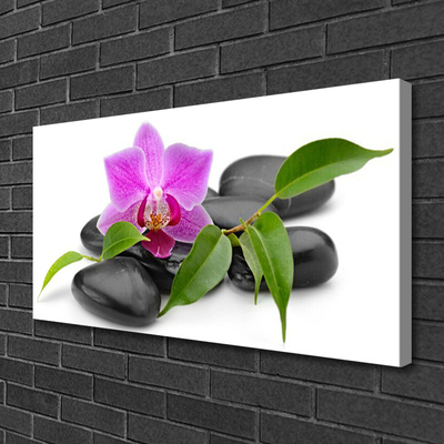 Leinwand-Bilder Blume Steine Kunst