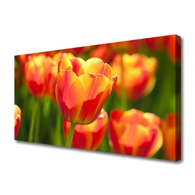 Leinwand-Bilder Tulpen Pflanzen