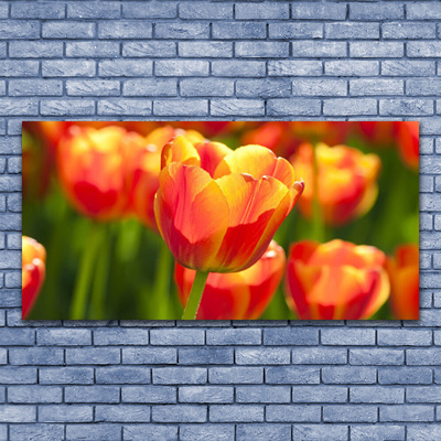 Leinwand-Bilder Tulpen Pflanzen