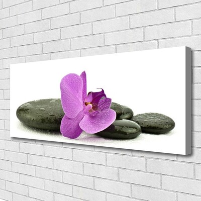 Leinwand-Bilder Blume Steine Kunst