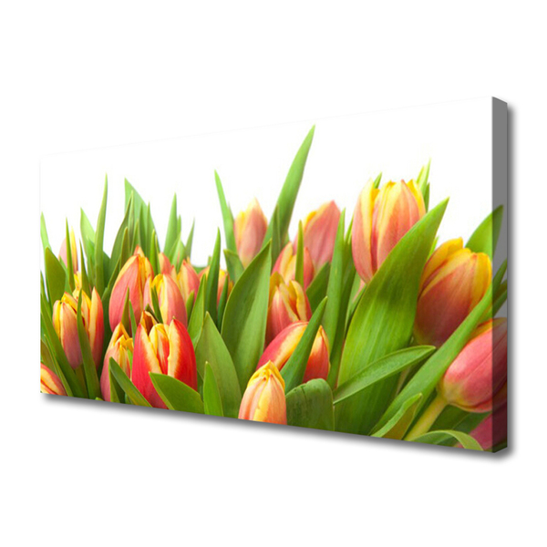 Leinwand-Bilder Tulpen Pflanzen