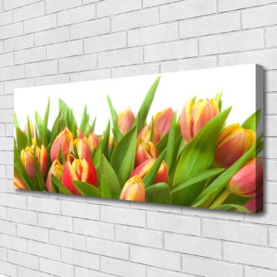 Leinwand-Bilder Tulpen Pflanzen