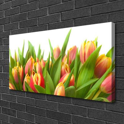 Leinwand-Bilder Tulpen Pflanzen