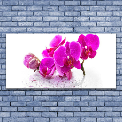 Leinwand-Bilder Blumen Pflanzen