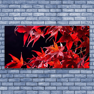 Leinwand-Bilder Blätter Pflanzen