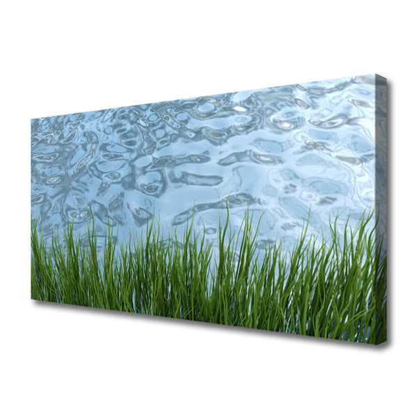 Leinwand-Bilder Gras Wasser Natur