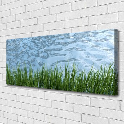 Leinwand-Bilder Gras Wasser Natur