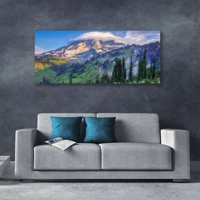 Leinwand-Bilder Gebirge Wald Landschaft