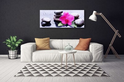 Leinwand-Bilder Blume Steine Kunst