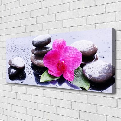 Leinwand-Bilder Blume Steine Kunst