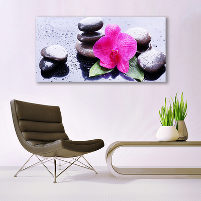 Leinwand-Bilder Blume Steine Kunst