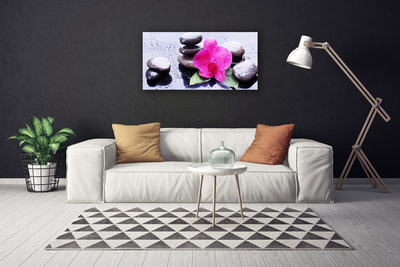 Leinwand-Bilder Blume Steine Kunst