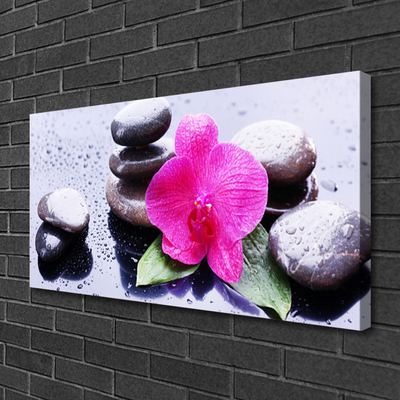 Leinwand-Bilder Blume Steine Kunst