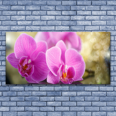 Leinwand-Bilder Blumen Pflanzen