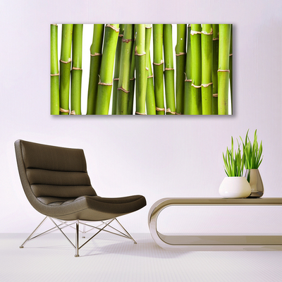 Leinwand-Bilder Bambusrohre Pflanzen