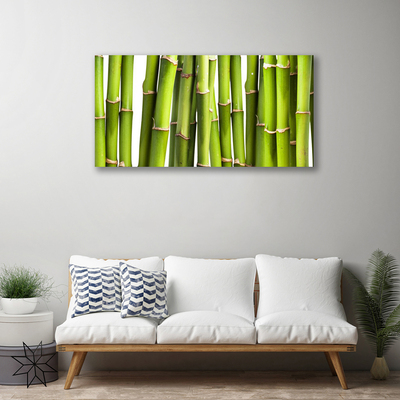 Leinwand-Bilder Bambusrohre Pflanzen