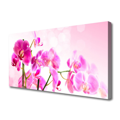 Leinwand-Bilder Blumen Pflanzen