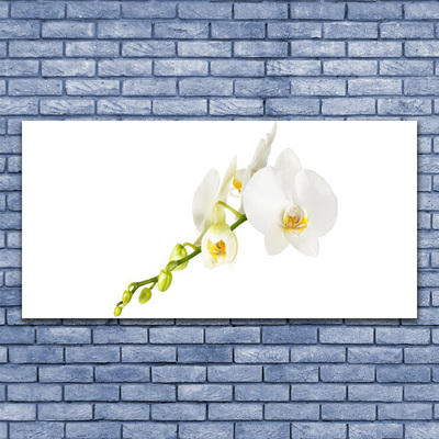 Leinwand-Bilder Blumen Pflanzen