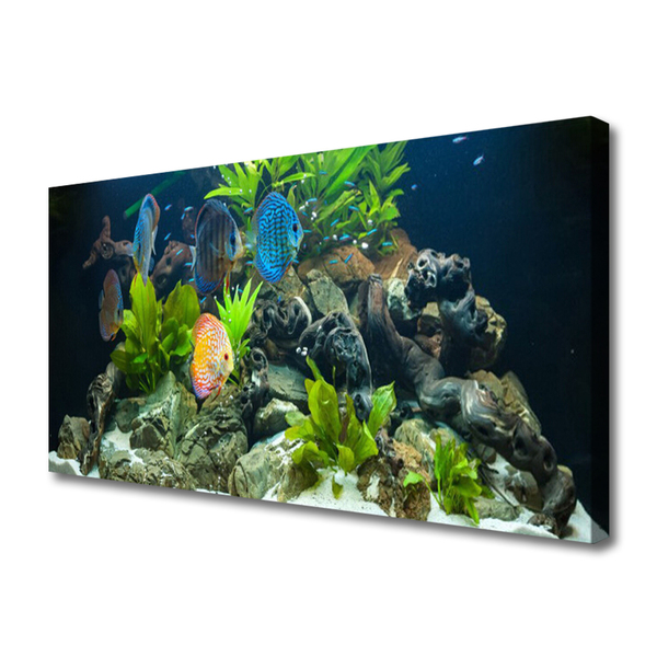 Leinwand-Bilder Fische Steine Blätter Natur