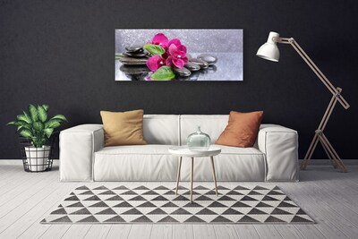 Leinwand-Bilder Blumen Steine Kunst