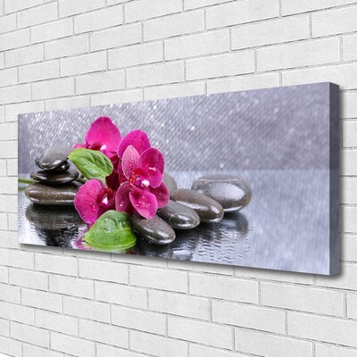 Leinwand-Bilder Blumen Steine Kunst