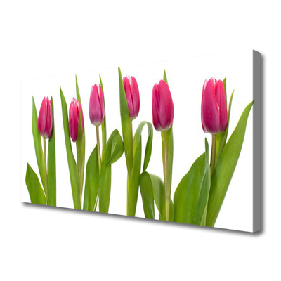 Leinwand-Bilder Tulpen Pflanzen