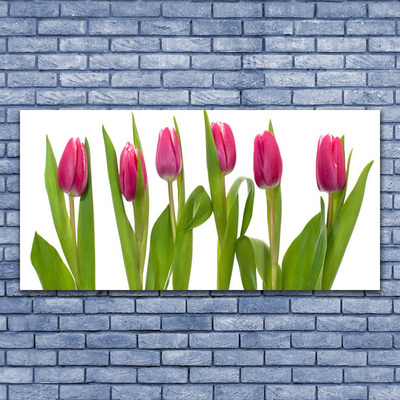 Leinwand-Bilder Tulpen Pflanzen