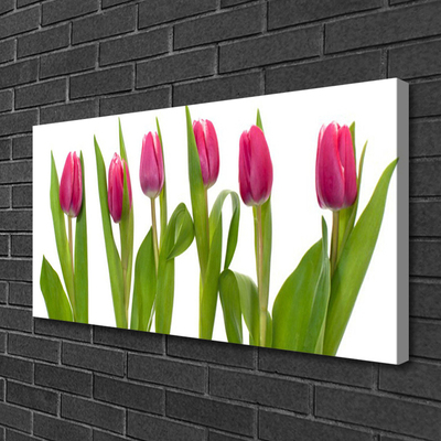 Leinwand-Bilder Tulpen Pflanzen