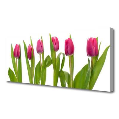 Leinwand-Bilder Tulpen Pflanzen