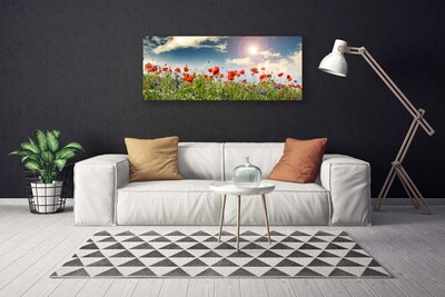 Leinwand-Bilder Wiese Blumen Natur