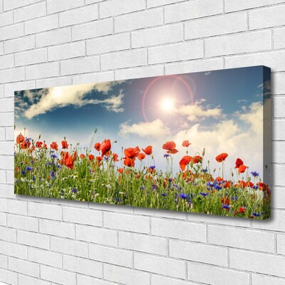 Leinwand-Bilder Wiese Blumen Natur