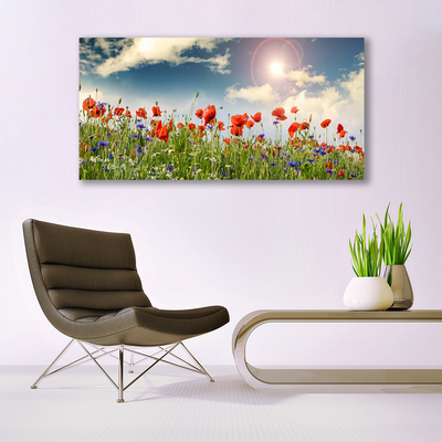 Leinwand-Bilder Wiese Blumen Natur