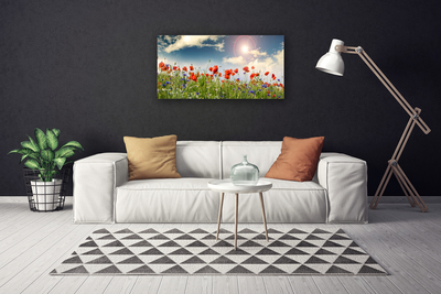 Leinwand-Bilder Wiese Blumen Natur