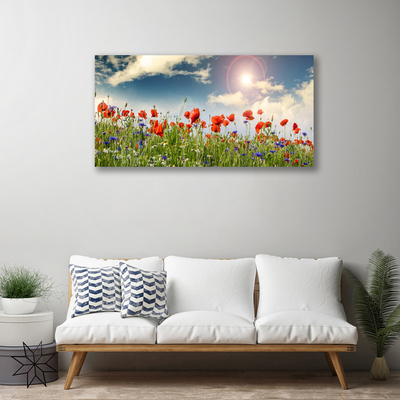 Leinwand-Bilder Wiese Blumen Natur